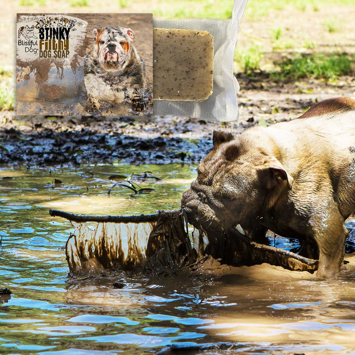 Stinky Filthy Dog Soap