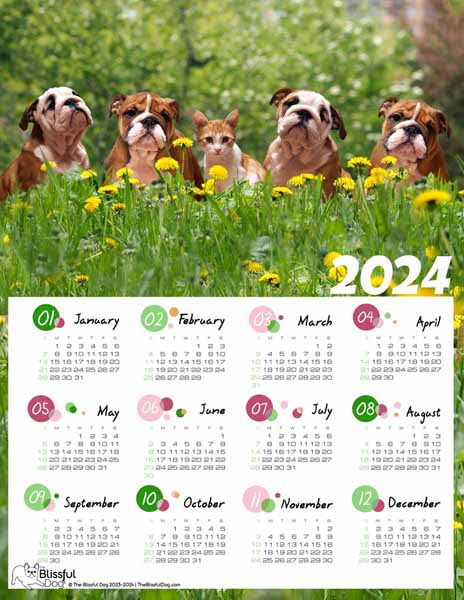 free bulldog puppies calendar