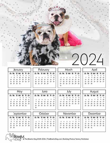 free bulldog calendar 2024