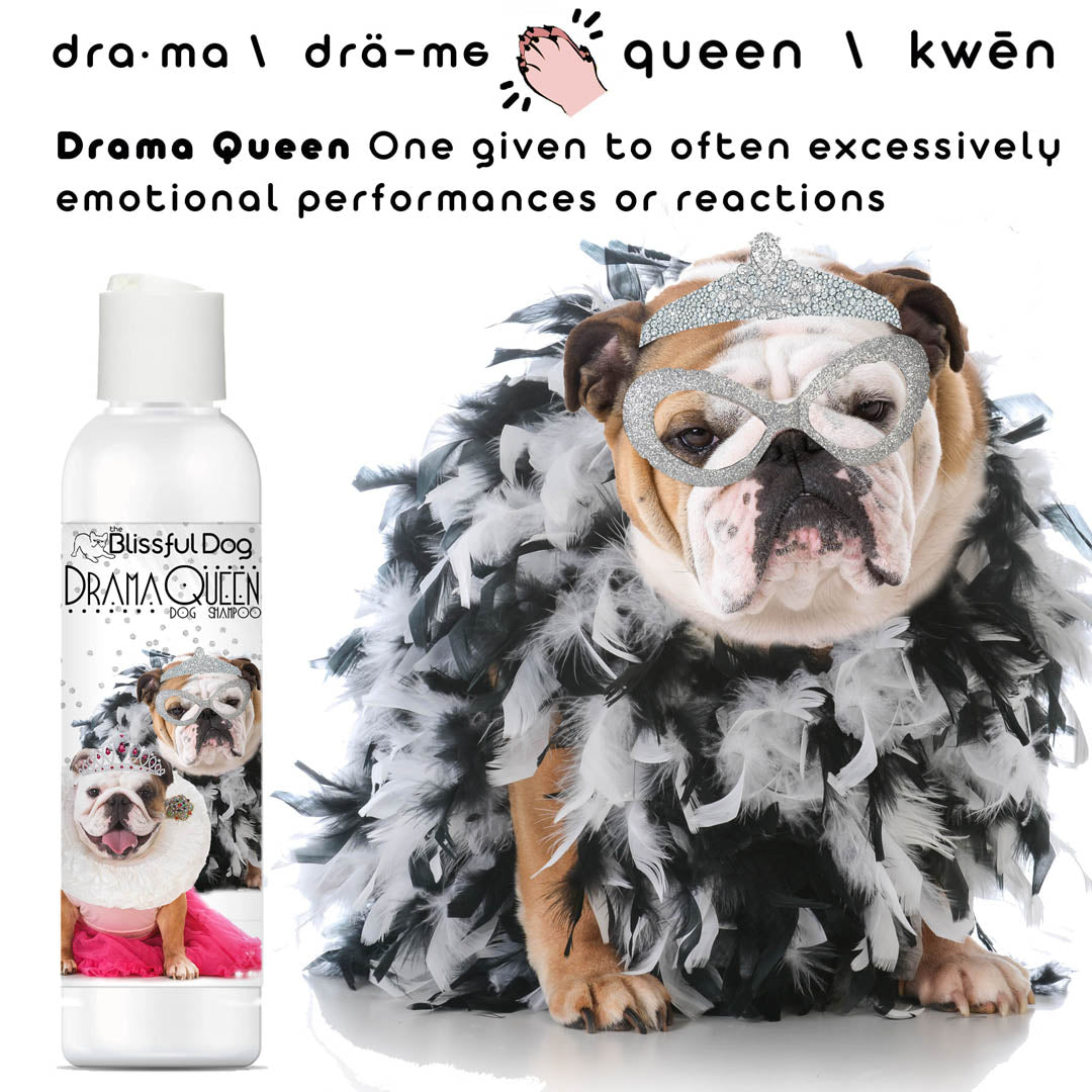 drama queen bulldog shampoo