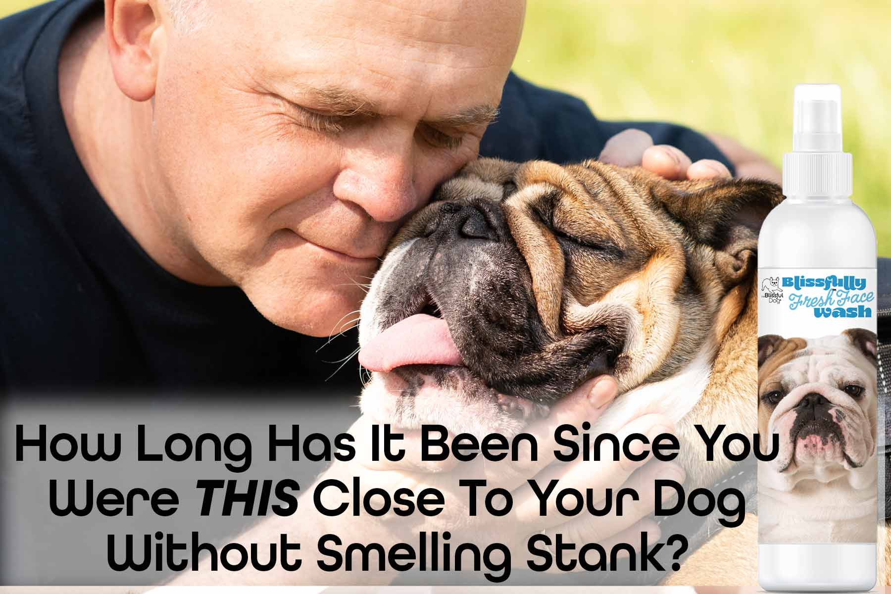 bulldog smelly face wash