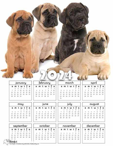free bullmastiff calendar