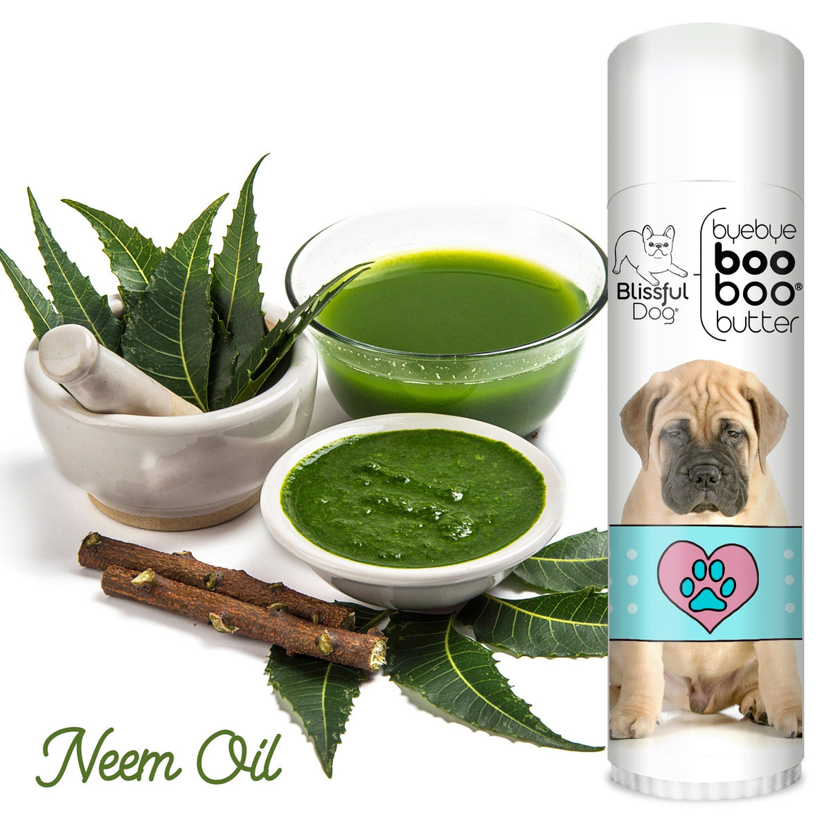 bullmastiff scratches