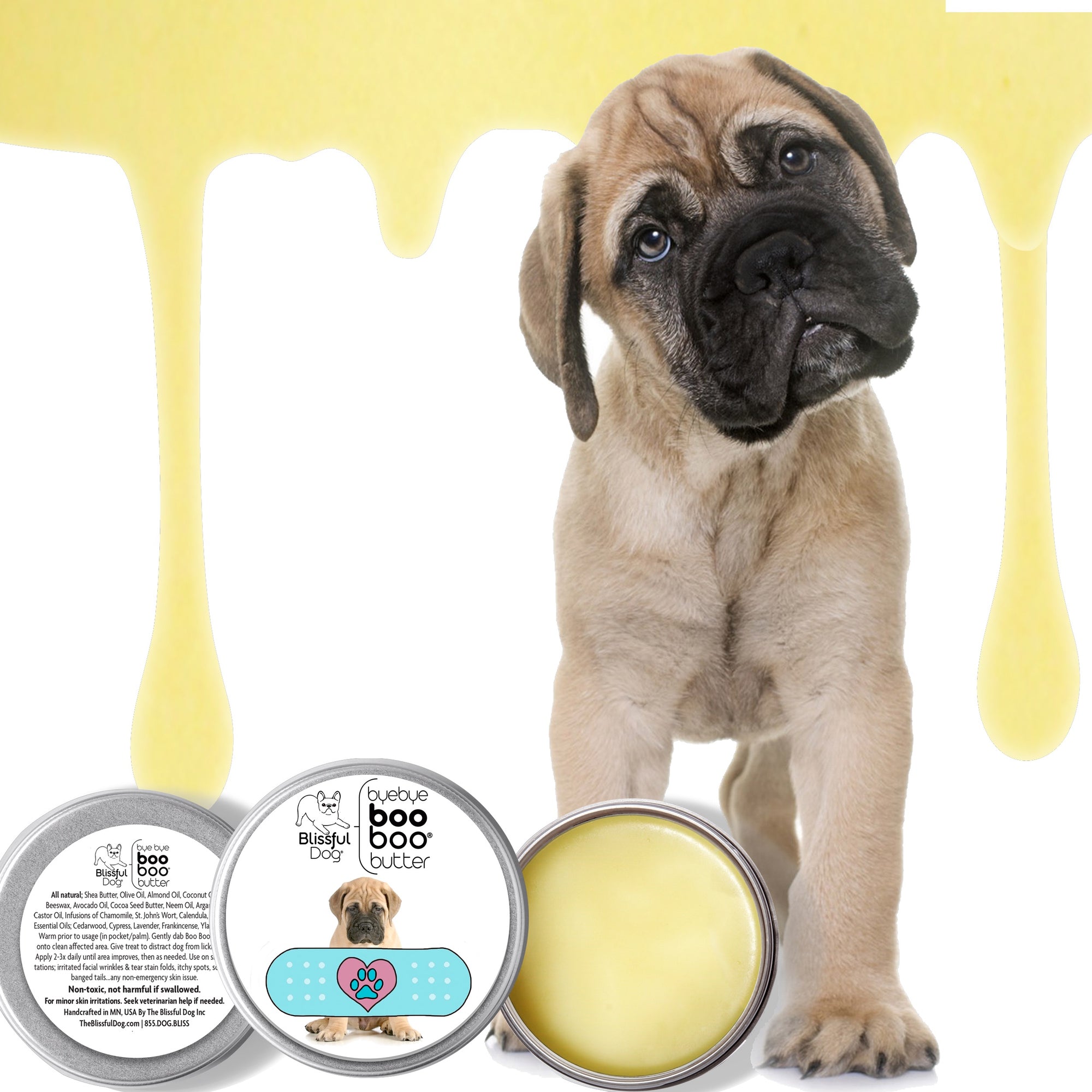 bullmastiff skin care