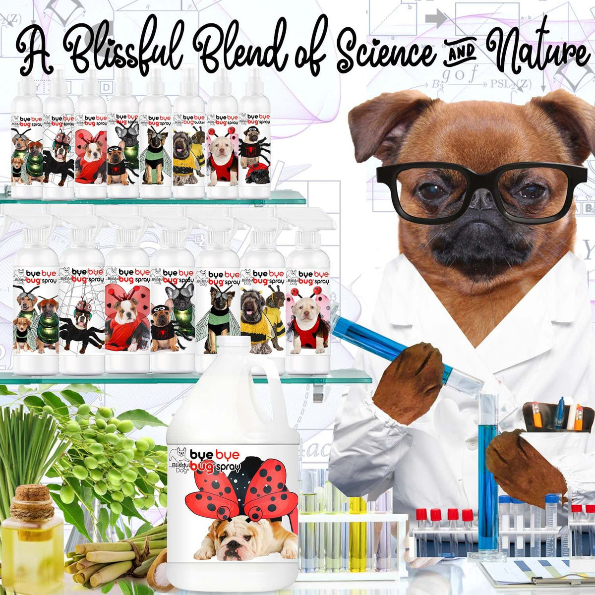 natural bug spray for dogs
