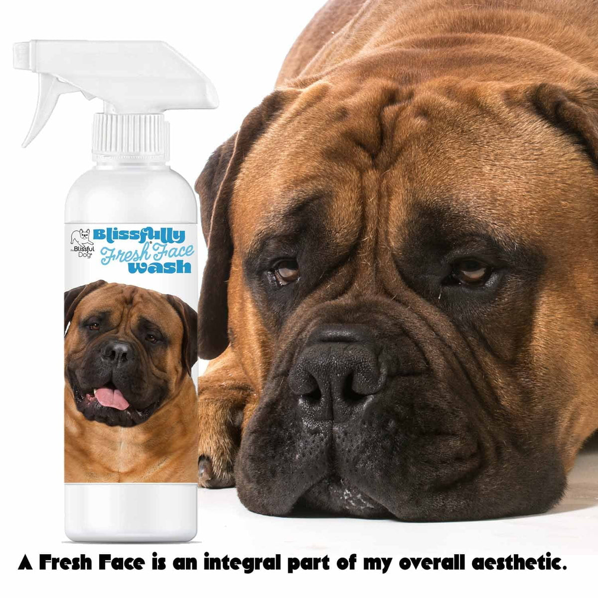 Bullmastiff face cleanser
