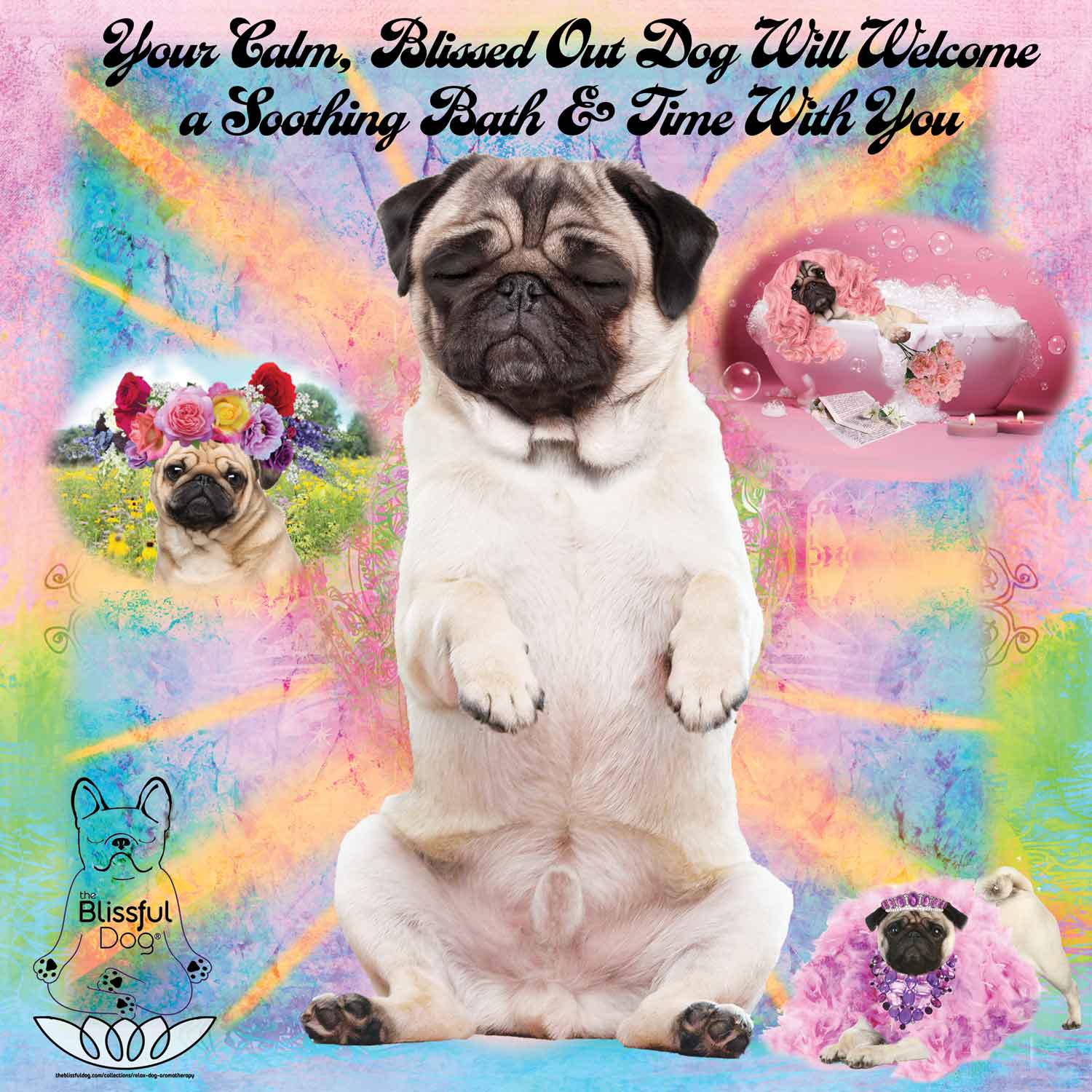 BLISSFUL PUG