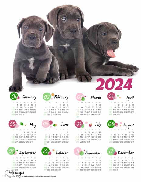 free cane corso calendar