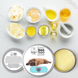 cane corso skin care