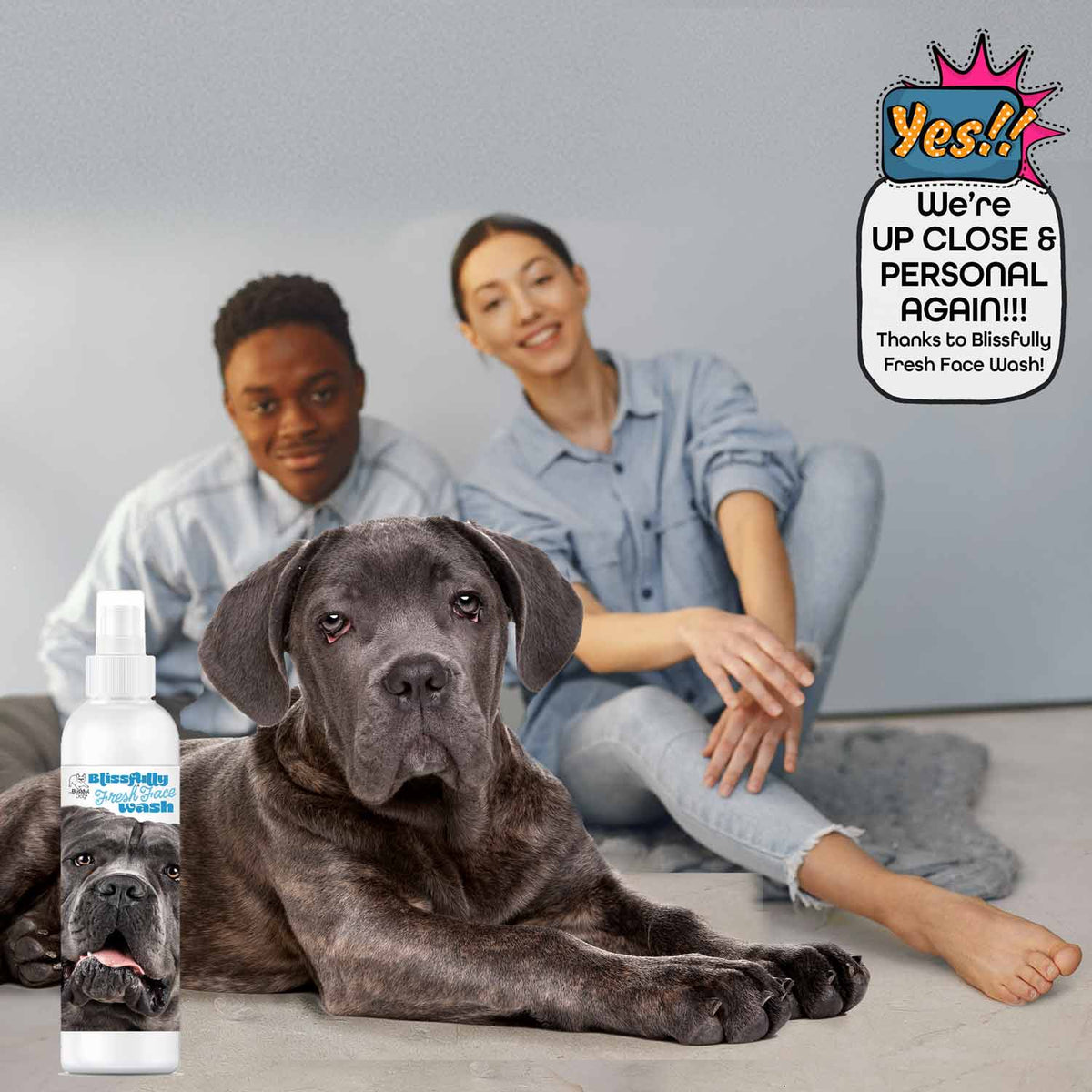 Cane Corso face wash