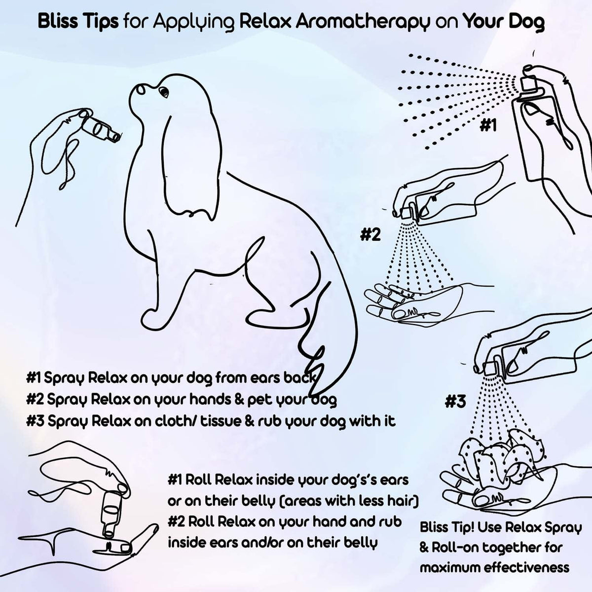 cavalier king charles spaniel aromatherapy