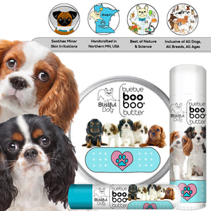 cavalier spaniel skin care