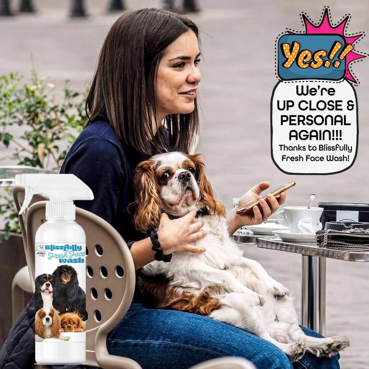 King Charles Spaniel face