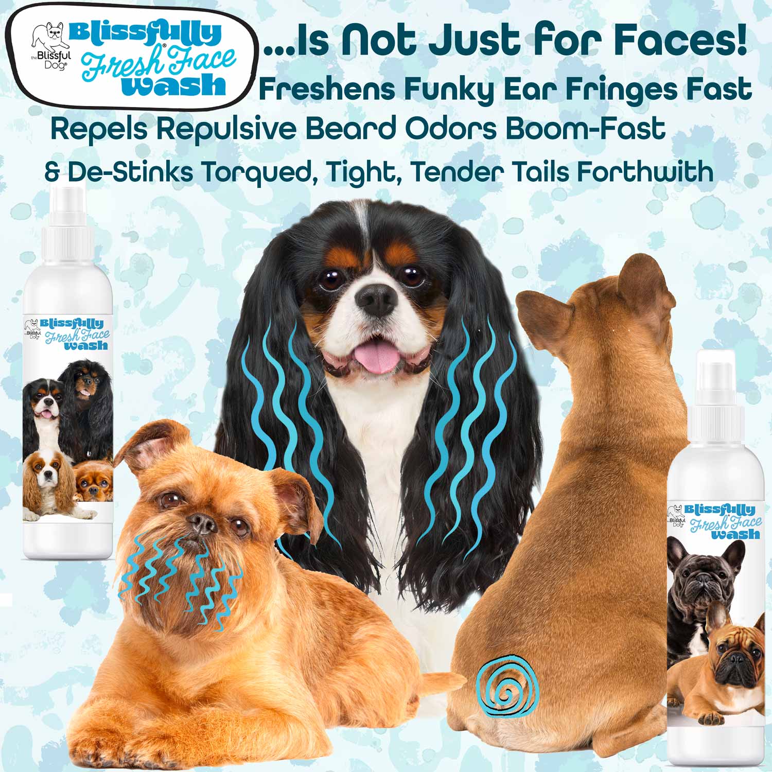 dog facial wash