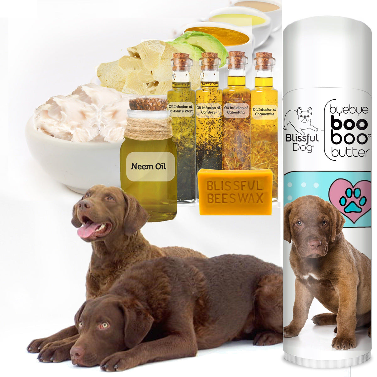 chesapeake retriever skin care