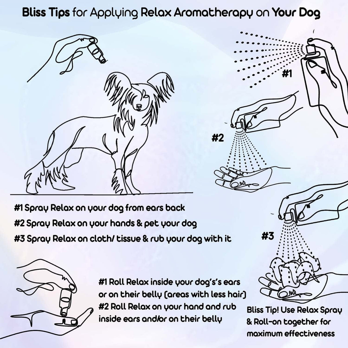 using aromatherapy on your chinese crested 