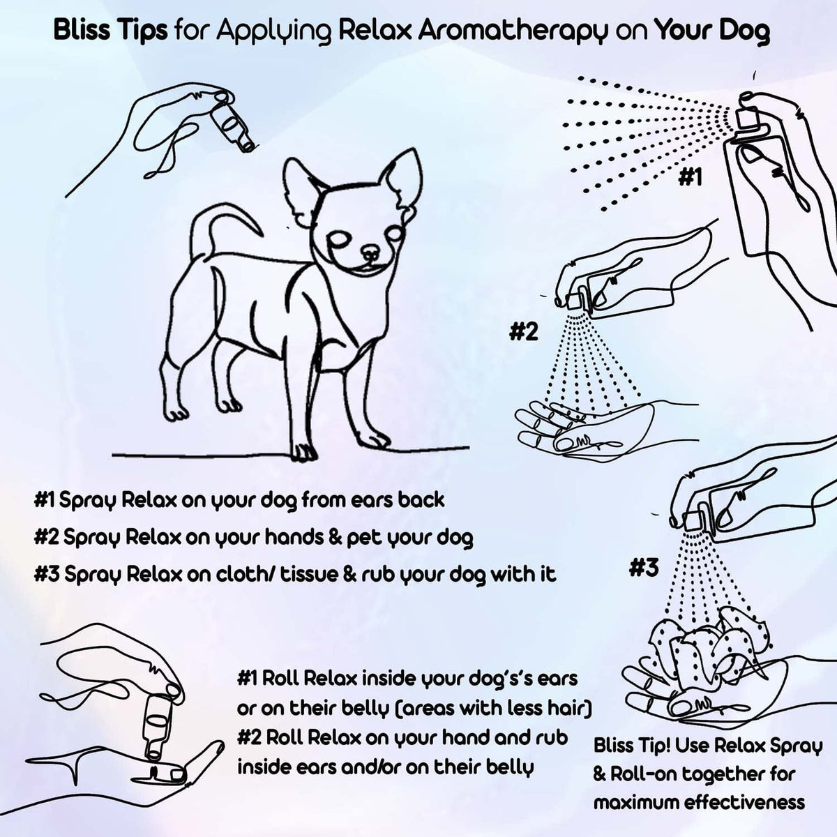 aromatherapy for a Chihuahua
