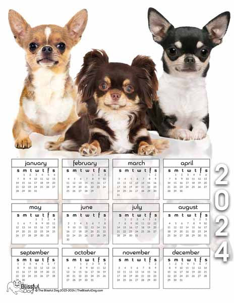 chihuahua calendar