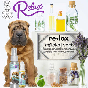 Chinese Shar-Pei dog aromatherapy