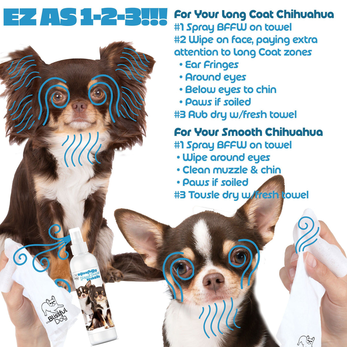 Smooth Chihuahua face care