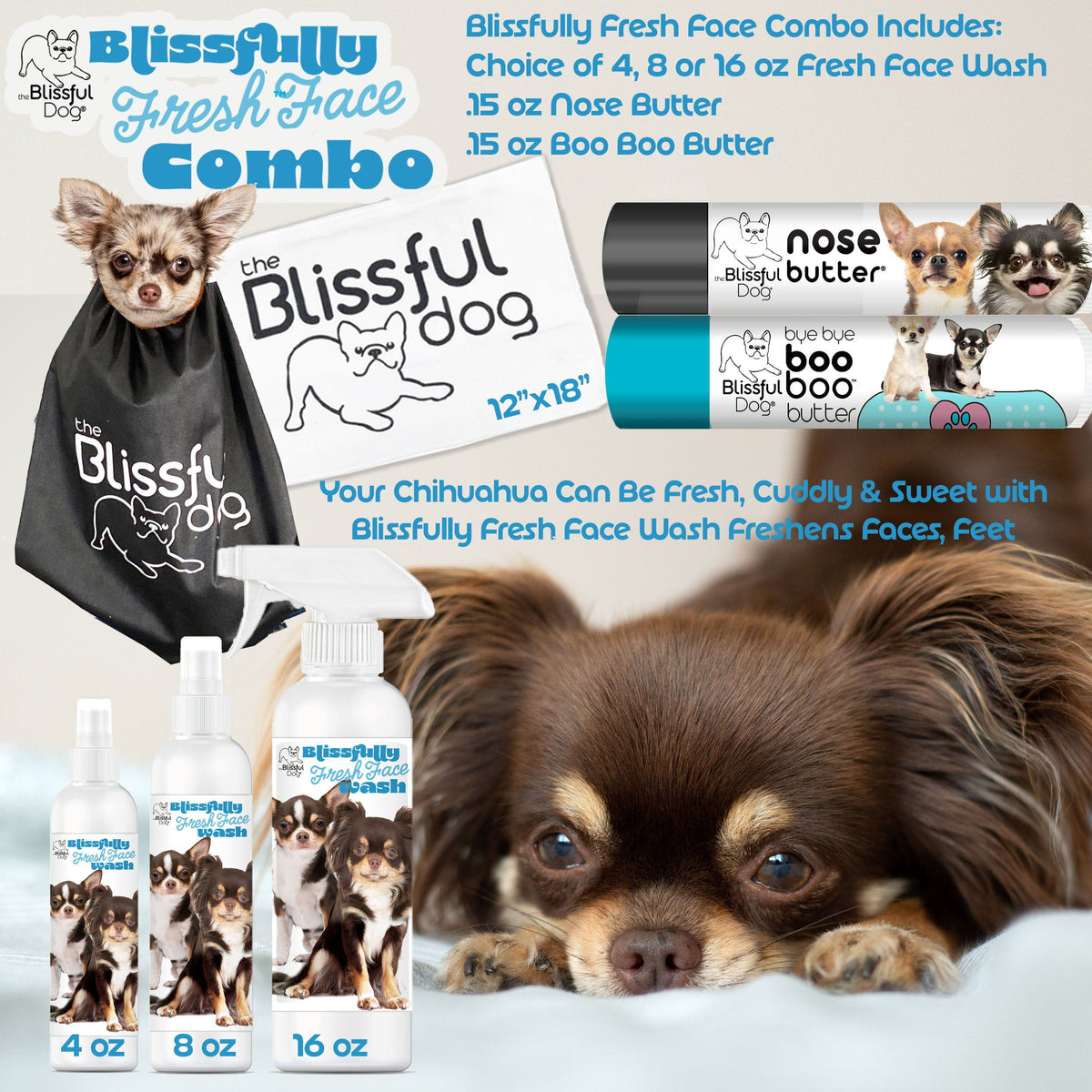 long coat Chihuahua face 