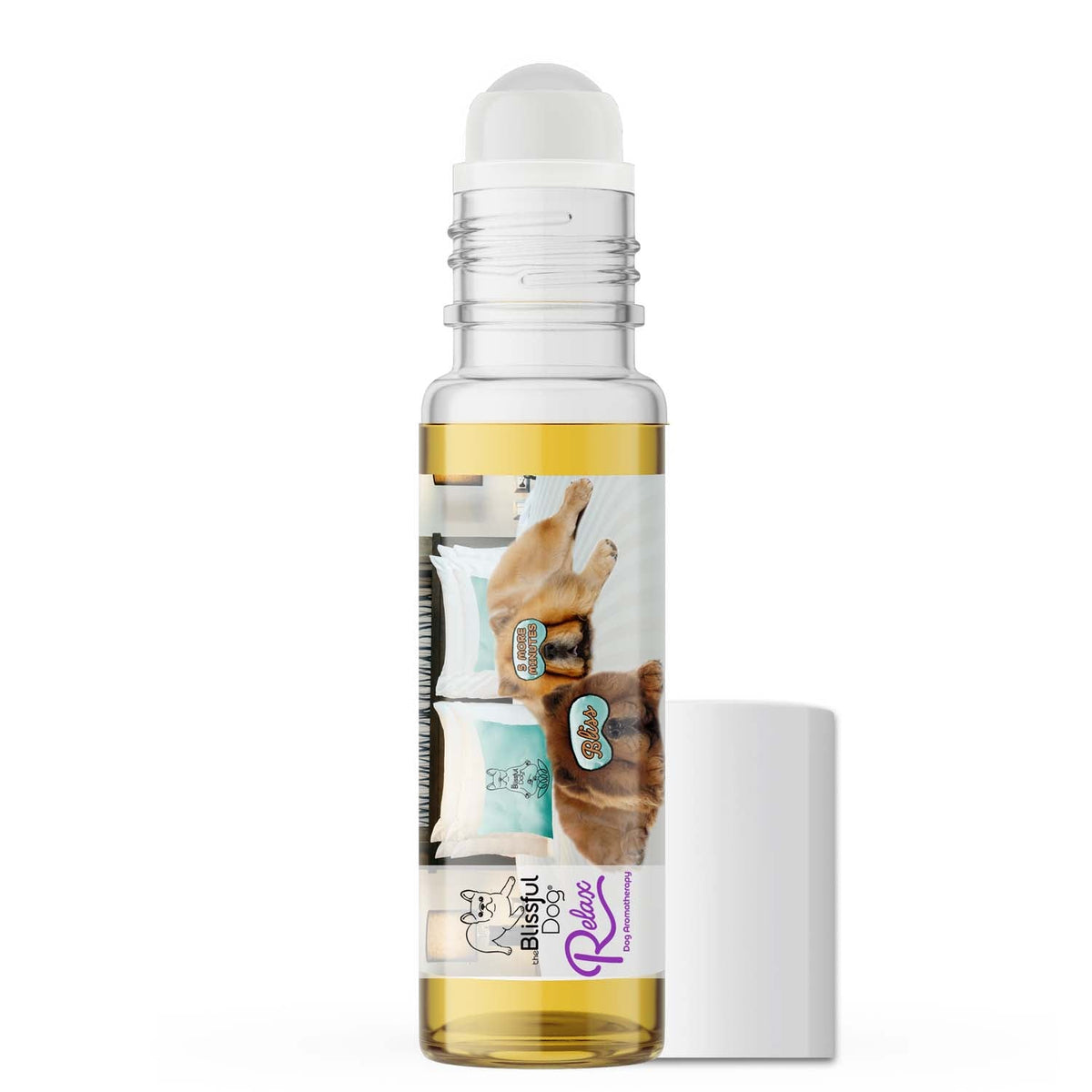 chow separation anxiety help