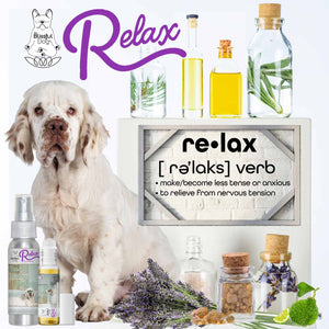 clumber spaniel relax dog aromatherapy