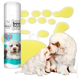 Clumber Spaniel skin balm