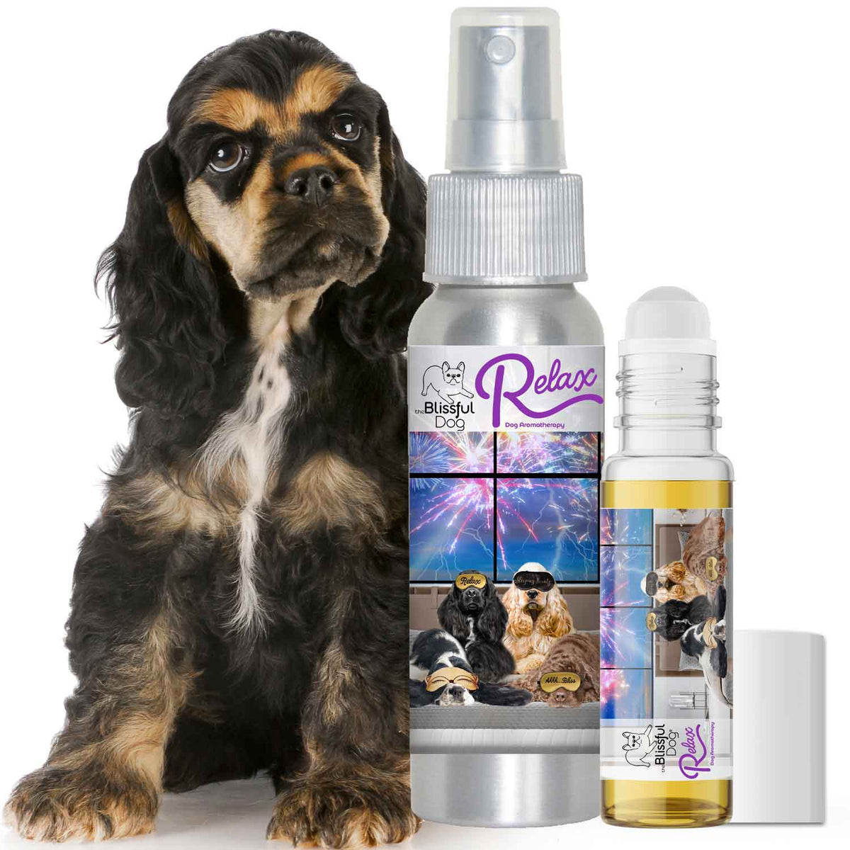 cocker spaniel calming aromatherapy