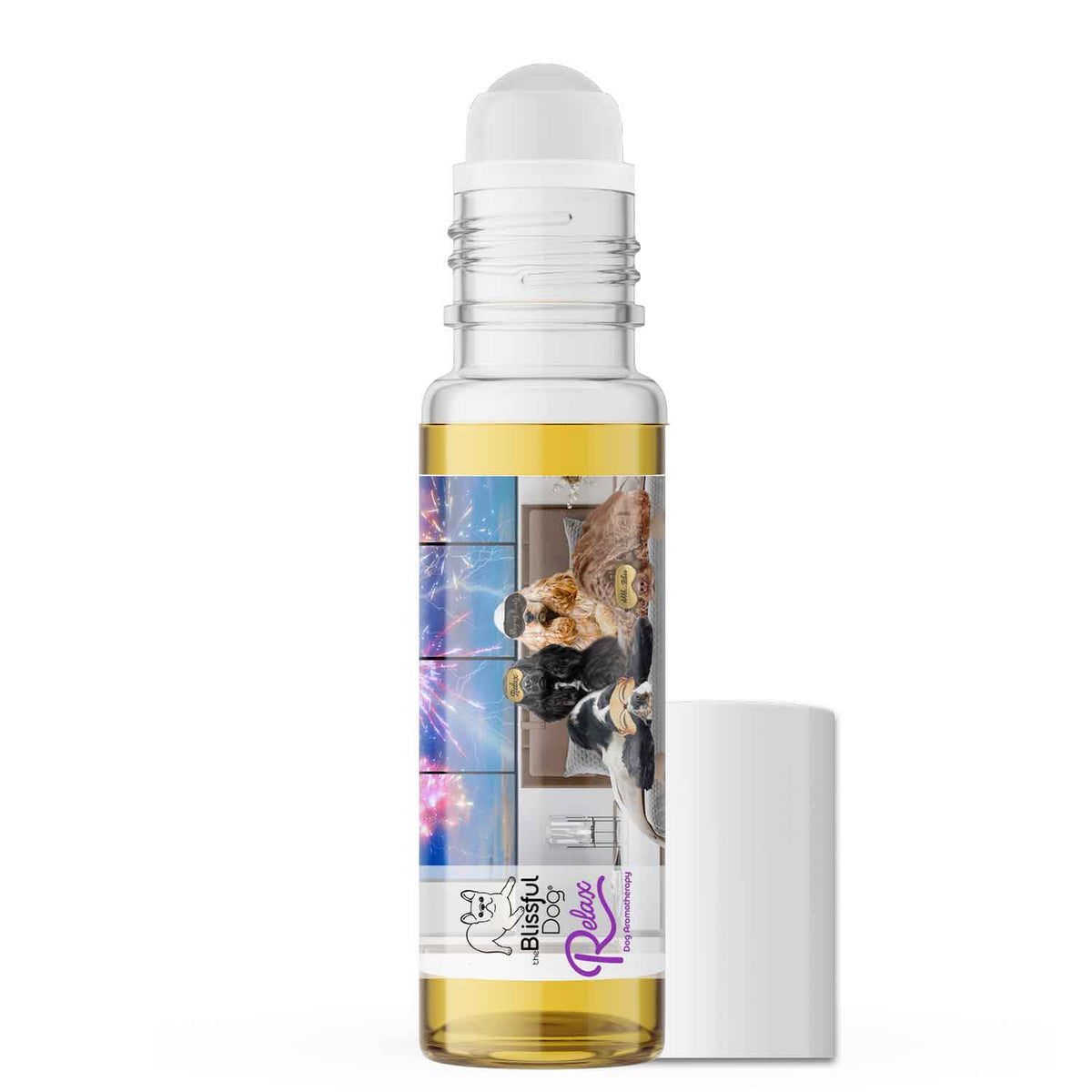 cocker spaniel anxious