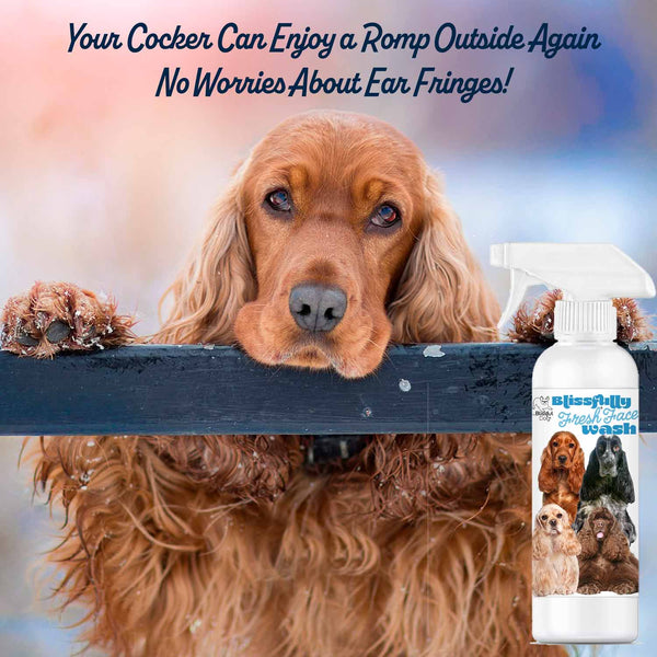 Blissfully Fresh™ Cocker Spaniel Face Wash for Clean Cocker Faces The