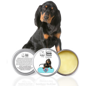 coonhound dry skin