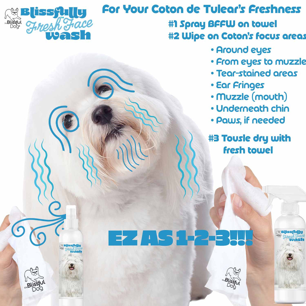 Coton de Tulear care