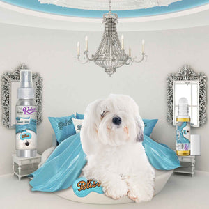 Coton de Tulear afraid thunder