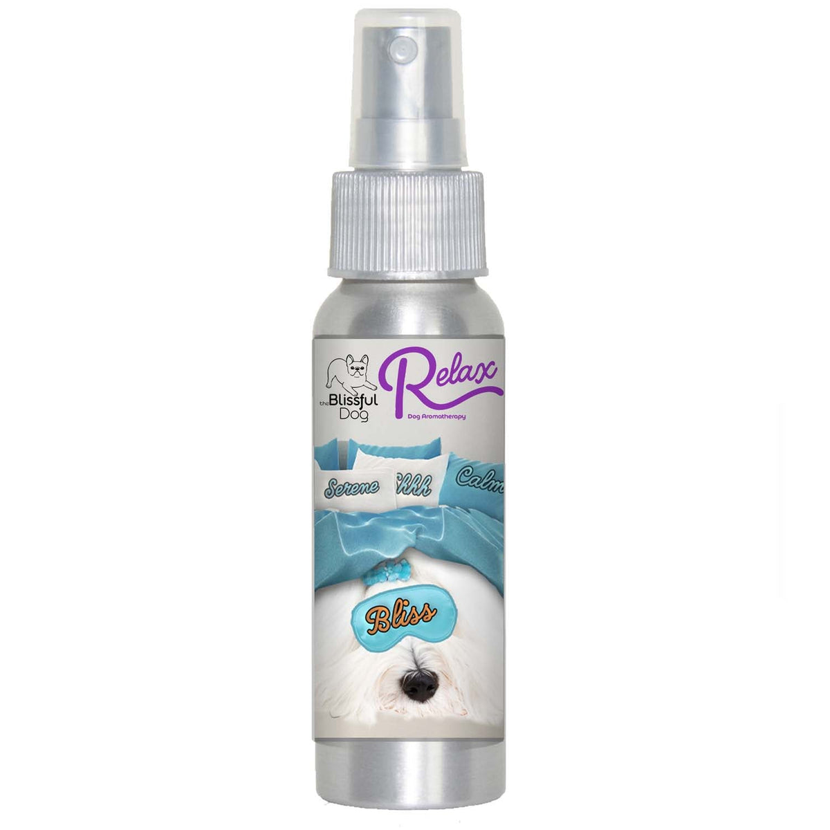 Coton de Tulear afraid thunderstorms