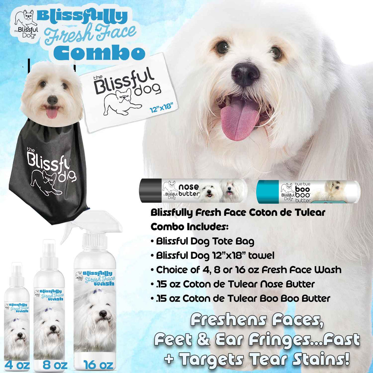 Coton de Tulear dog