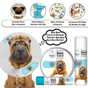 chinese shar-pei skin care