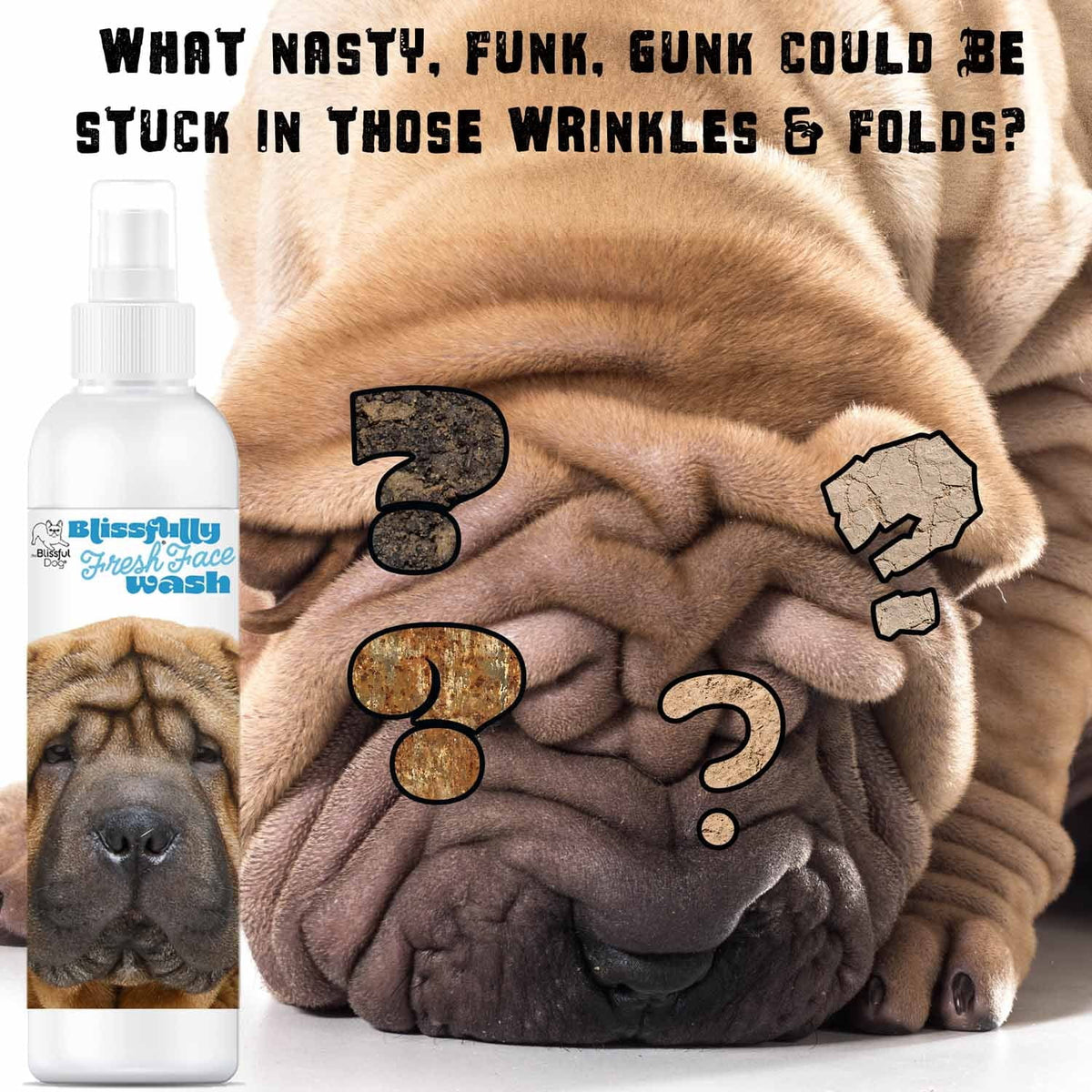 Chinese Shar-Pei face shampoo
