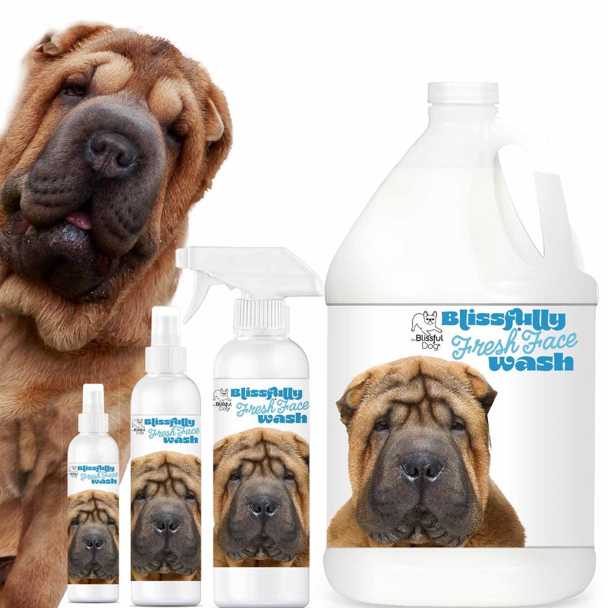 Chinese Shar-Pei face wash