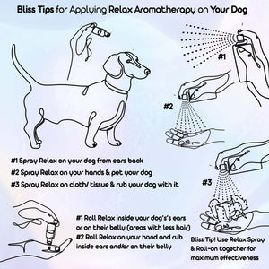 Dachshund dogs and aromatherapy