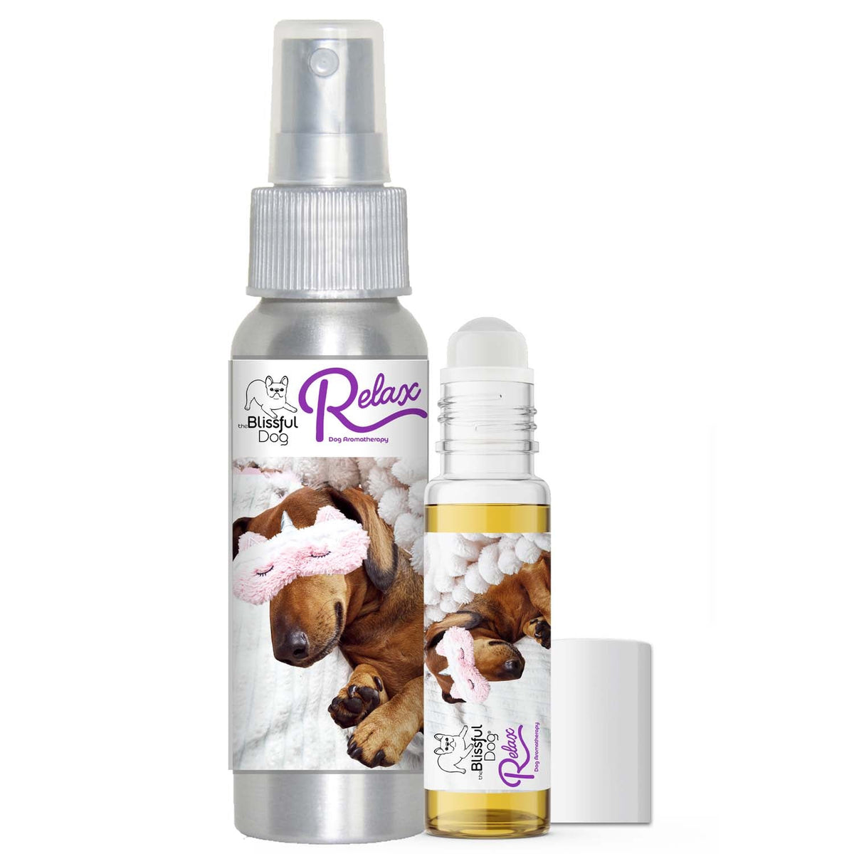 Dachshund afraid thunder