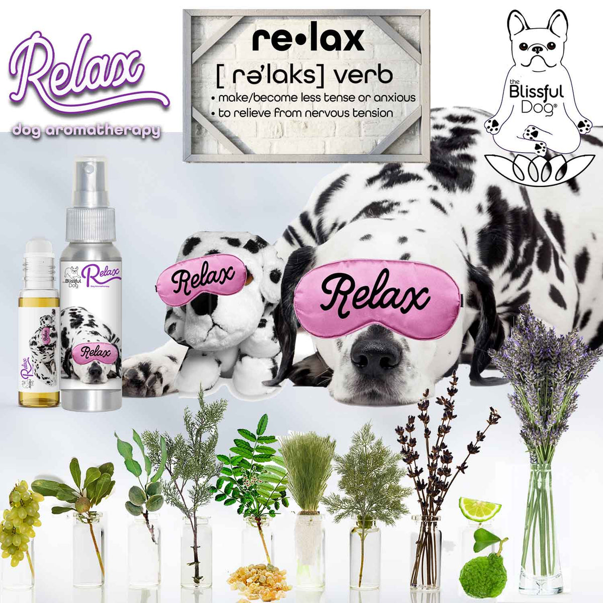 Dalmatian Relax Dog Calming Aromatherapy