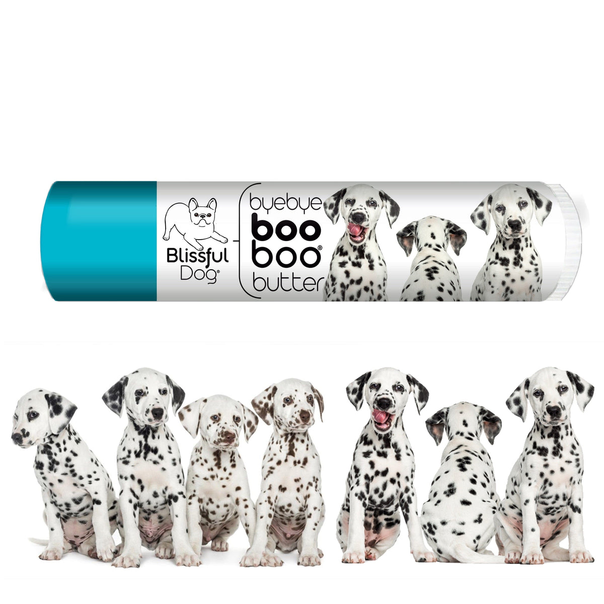 dalmatian puppy care