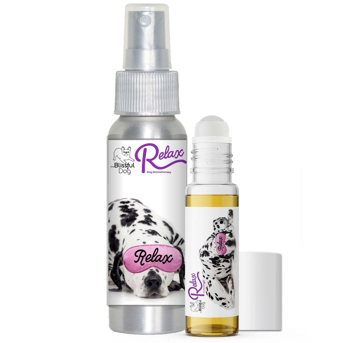 Dalmatian separation anxiety