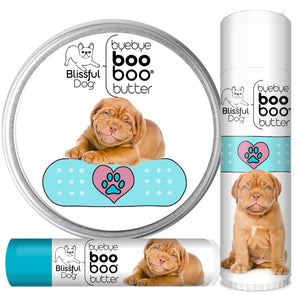 dogue de bordeaux itchy skin