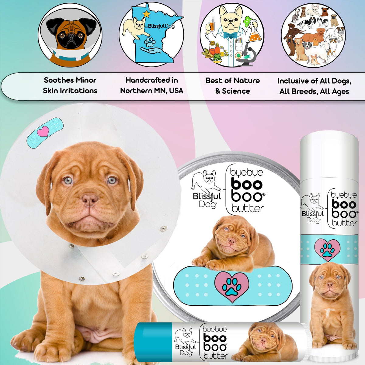 dogue de bordeaux skin irritation