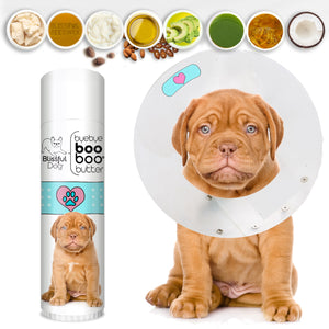 dogue de bordeaux skin