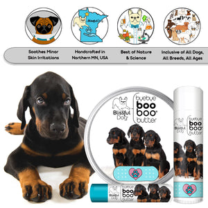 doberman pinscher skin care