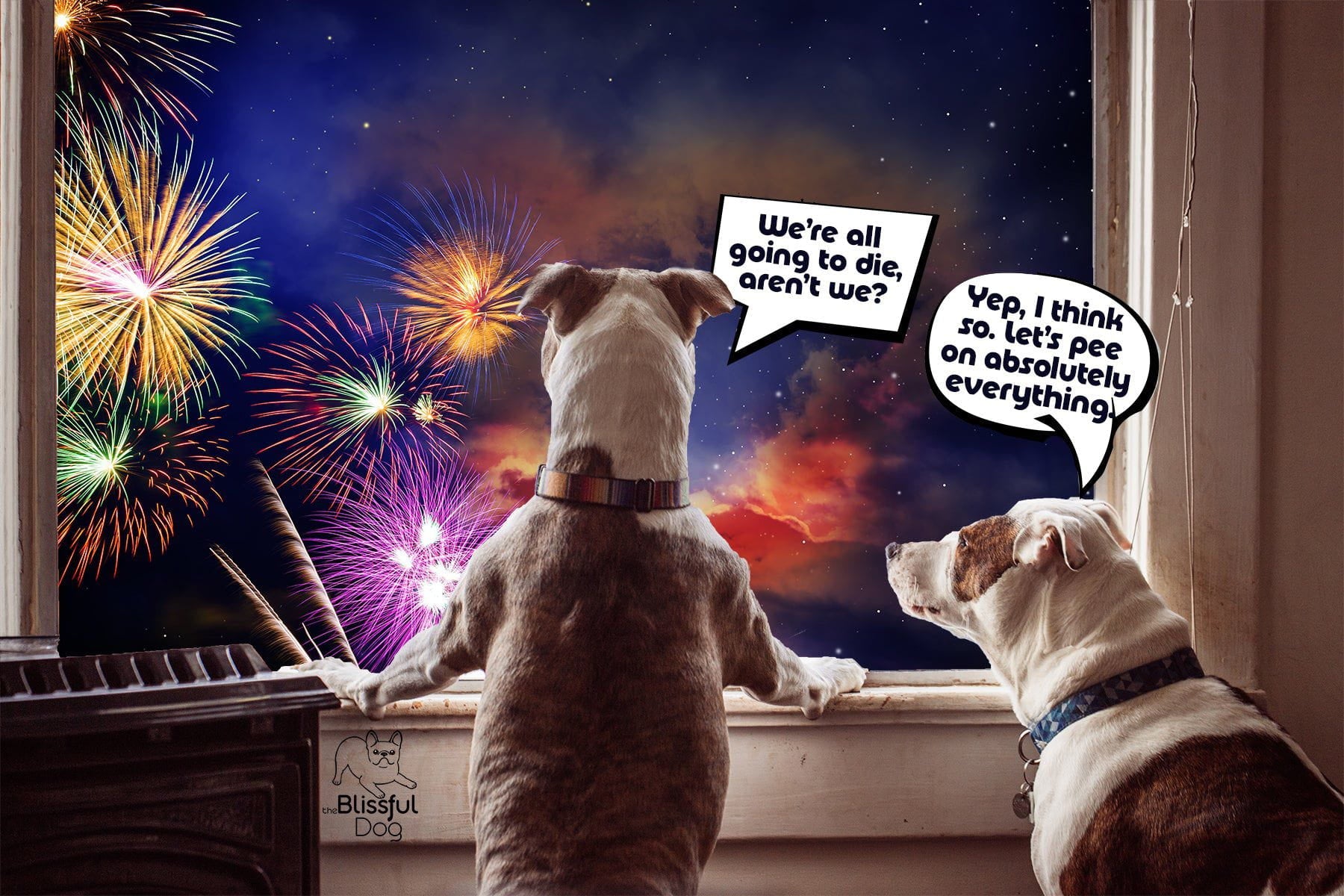 Dogs Protesting Fireworks Surviving the 4th of July When Your Dog Is Afraid of Fireworks - The ...