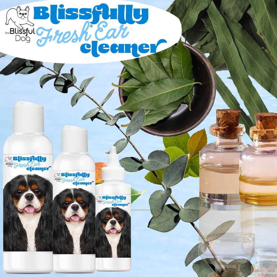 Blissfully Fresh™ Dog Ear Cleaner Ear Wash Solution for Dogs The